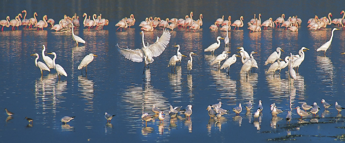 4cardinalpoints.com - Travel - Greece - Alexandroupoli