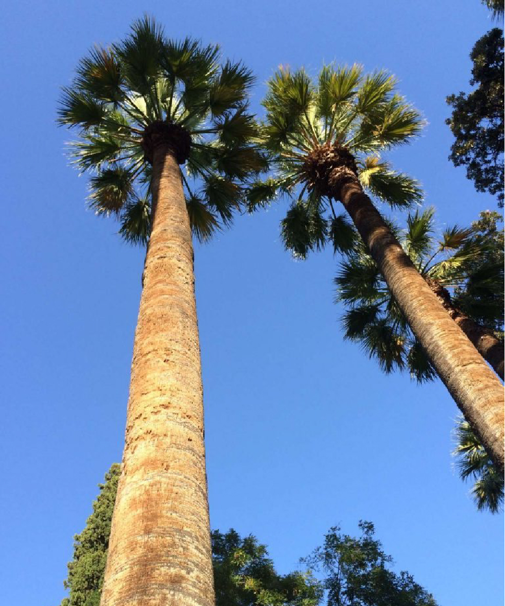 4cardinalpoints.com - Travel - Greece - Athens